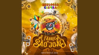 Vem São João Festejar