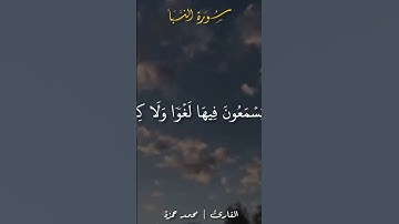 #قران_كريم #محمد_حمزة #quran #اكسبلور #حالات_واتس #تلاوة_خاشعة