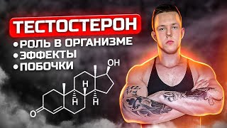 №1 ТЕСТОСТЕРОН | ЭФФЕКТЫ, ПОБОЧКИ, РОЛЬ В ОРГАНИЗМЕ