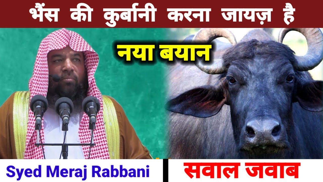 Sawal Aur Jawab || भैंस की कुर्बानी करना कैसा है ? By Syed Meraj Rabbani || Jalsa ChandPar Aazamghad