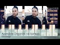 ستيل راي بروالي Org 2017 عزف خرافي 