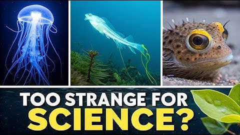 8 Creatures So Bizarre, Scientists Still Can’t Explain Them