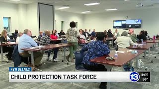 Child protection task force