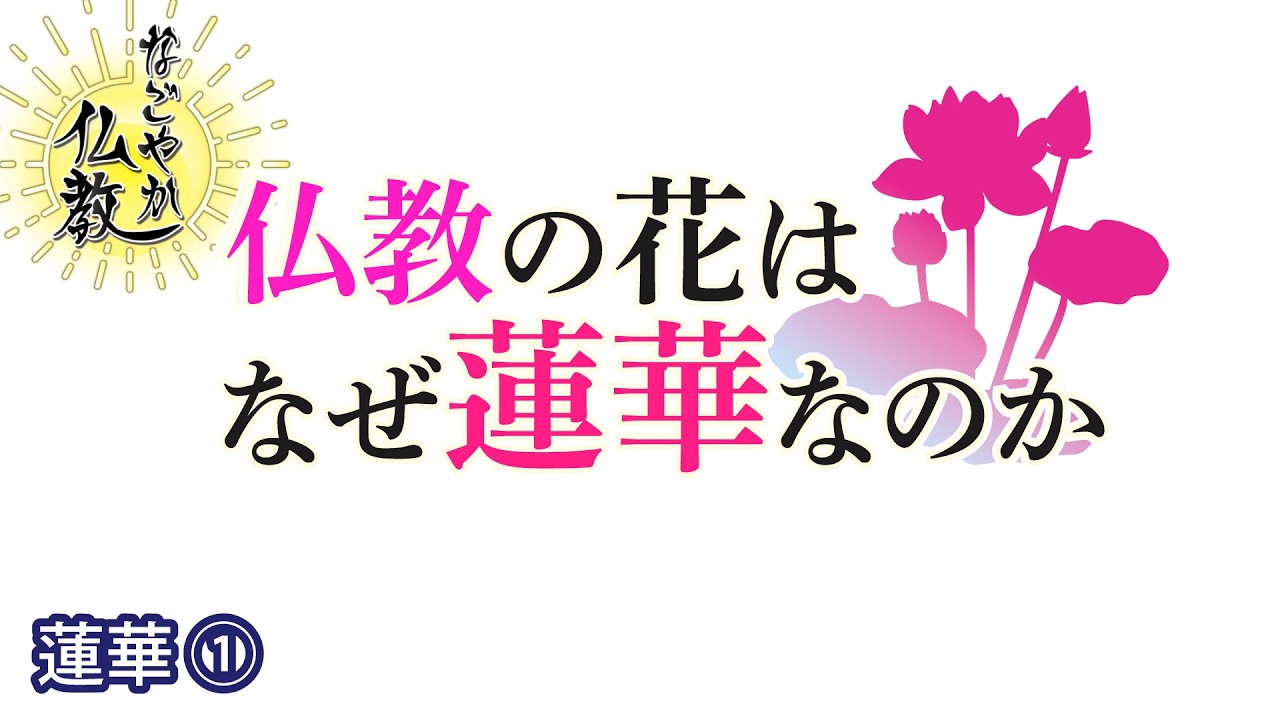 仏教と蓮華の関係《蓮華》①とは【なごやか仏教446】