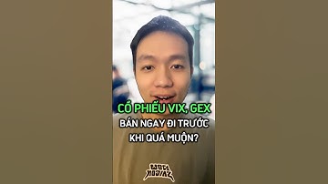 CÁCH XỬ LÝ CỔ PHIẾU VIX, GEX KHI THUA LỖ?