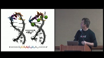 Thomas Cheatham: AMBER biomolecular dynamics simulations provide novel insight into nucleic acid ...