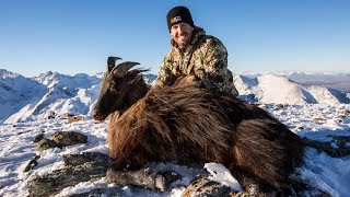 HUNTING TAHR ON GLACIERS IN NEW ZEALAND W/ MTN OPS