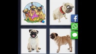 4 Pics 1 Word  - Level 3665 [HD] (iphone, Android, iOS)