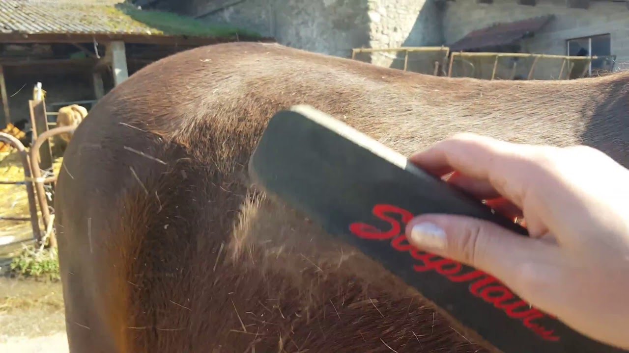 Test Striphair YouTube