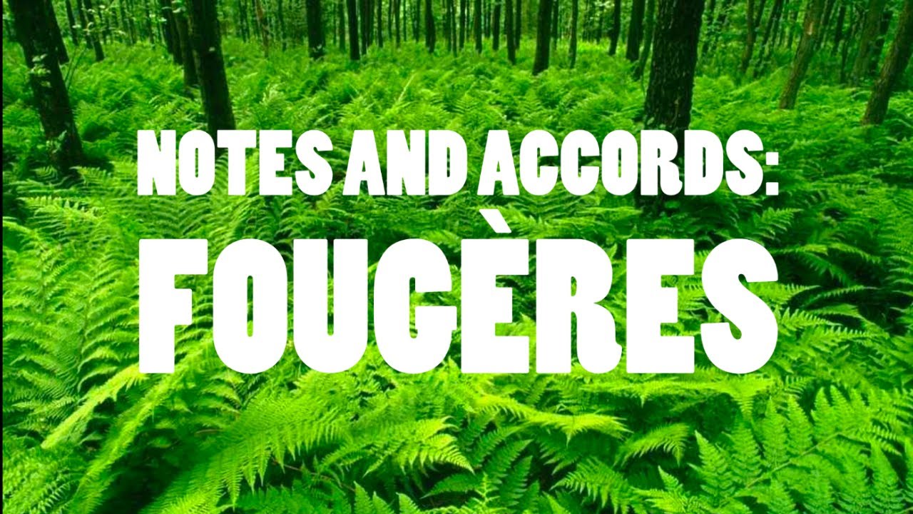 NOTES AND ACCORDS: FOUGÈRES - YouTube