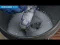 Middle of video