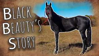 Black Beauty's Story by Horse Plus Humane Society 48,892 views 1 month ago 5 minutes, 15 seconds