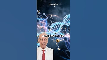 Epigenetics Explained in 60 Seconds - 3 Part Series preview