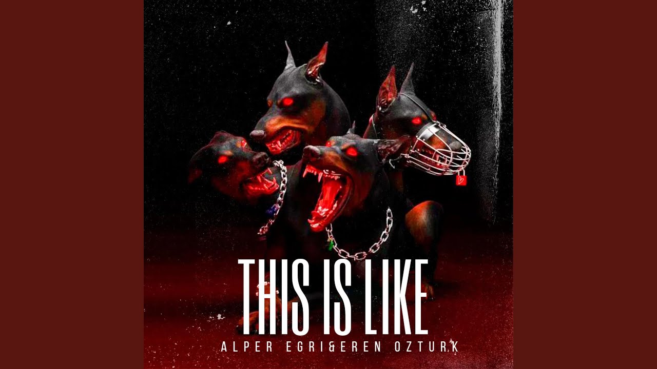 This s Like YouTube Music This S Like Youtube Music