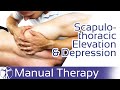 Elevation & Depression | Scapulothoracic Joint Play Assessment & Mobilization