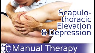 Elevation & Depression | Scapulothoracic Joint Play Assessment & Mobilization