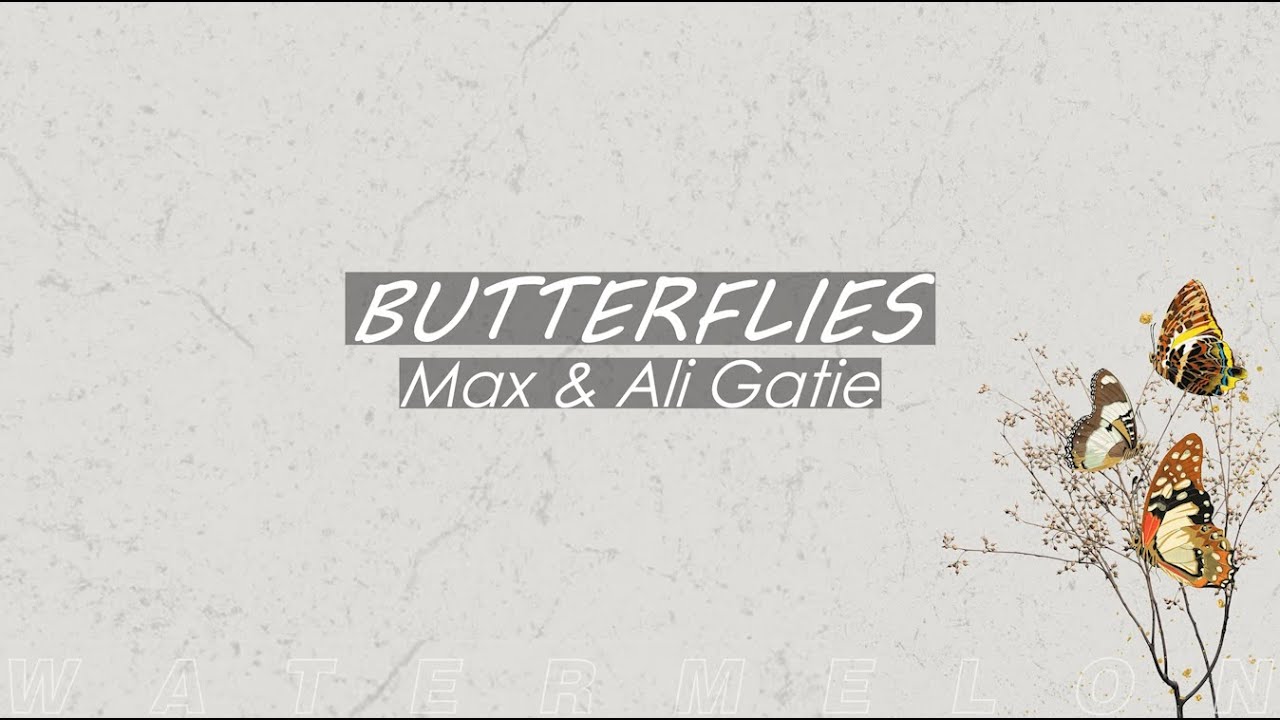 MAX & Ali Gatie Butterflies (lyrics) YouTube