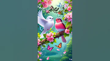 دعاء صباح يوم الأحد حالات واتس صباحية صباح الخير 