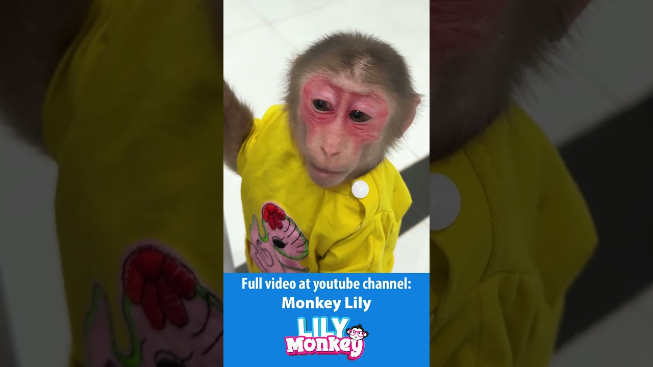 Lily takes care of her dad while he's injured P1 