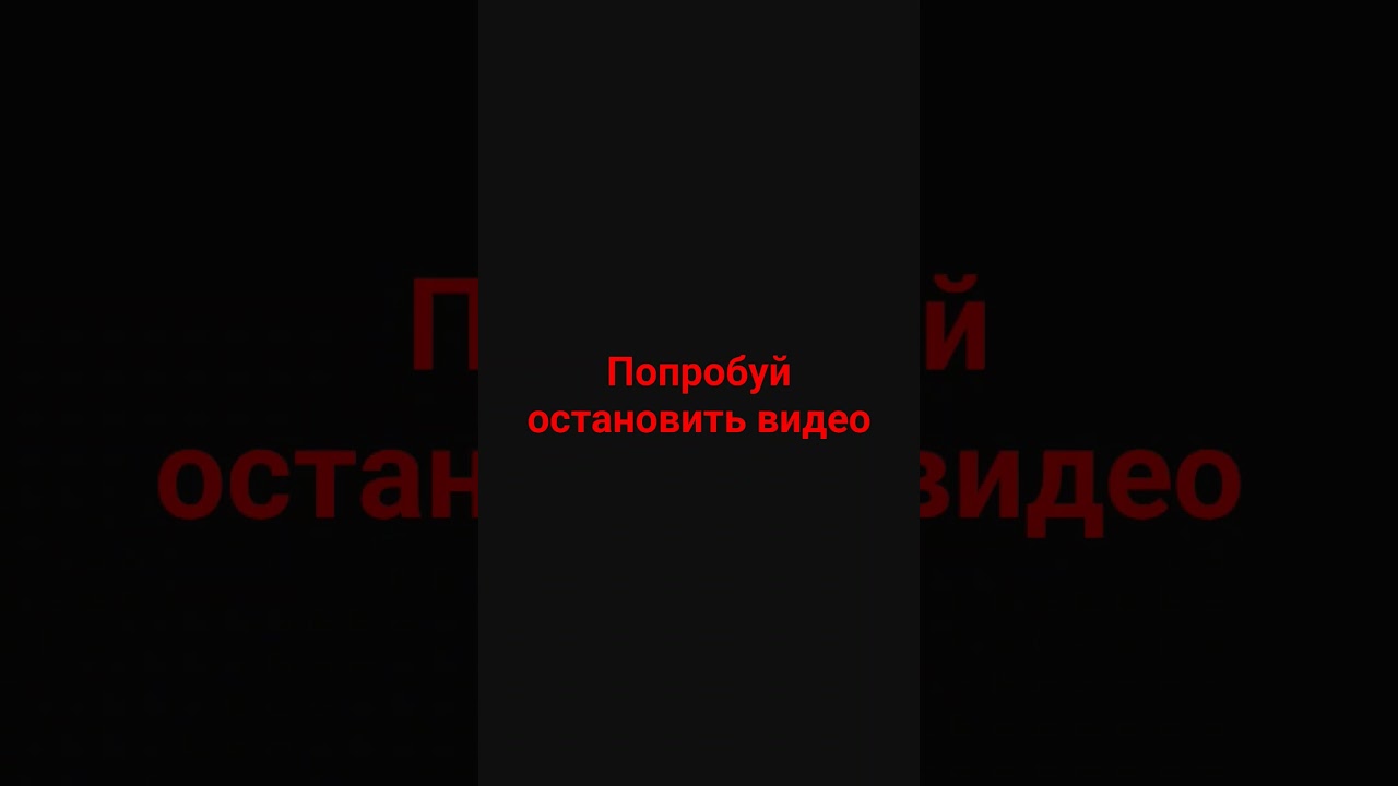 1 декабря 2023 г.