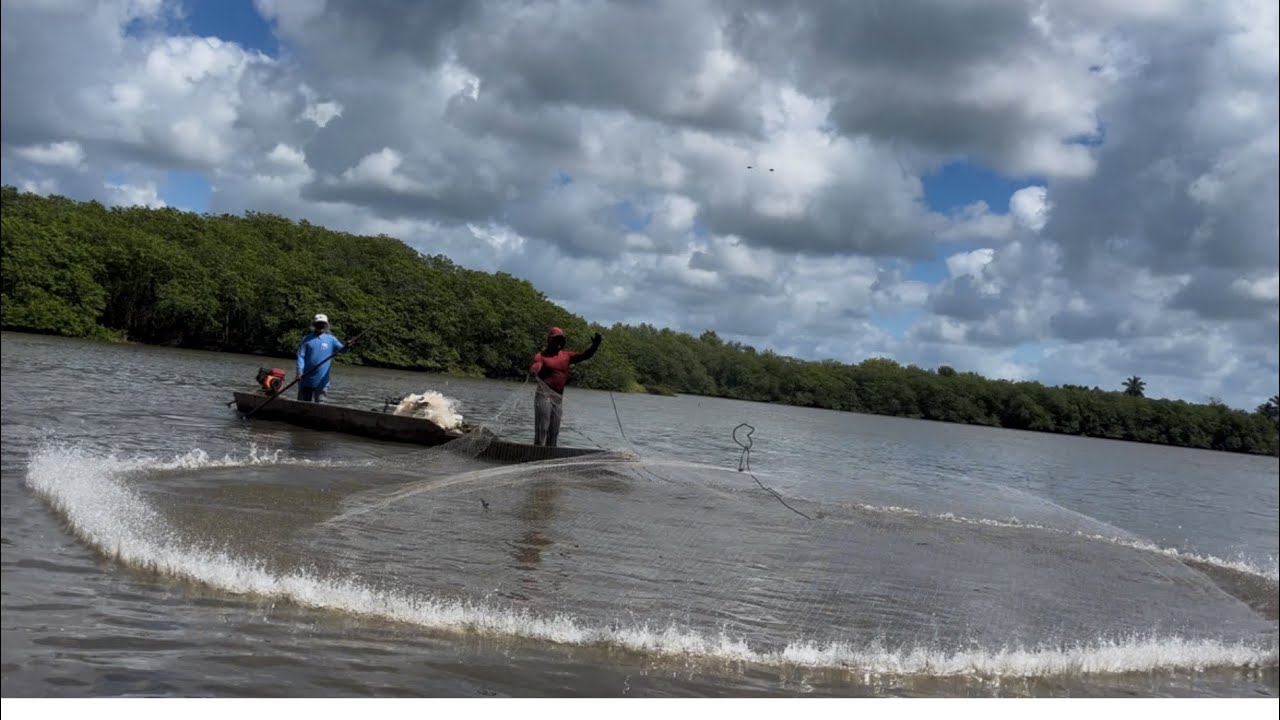 O MELHOR LUGAR DE ROBALO GRANDE PARA TARRAFA !  pescaria em CANAVIERAS Bahia 