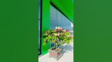 Giải pháp cho vách kính cường lực siêu  khổ ! Anh em góp ý #aluminiumcasting #aluminumwindow #glass