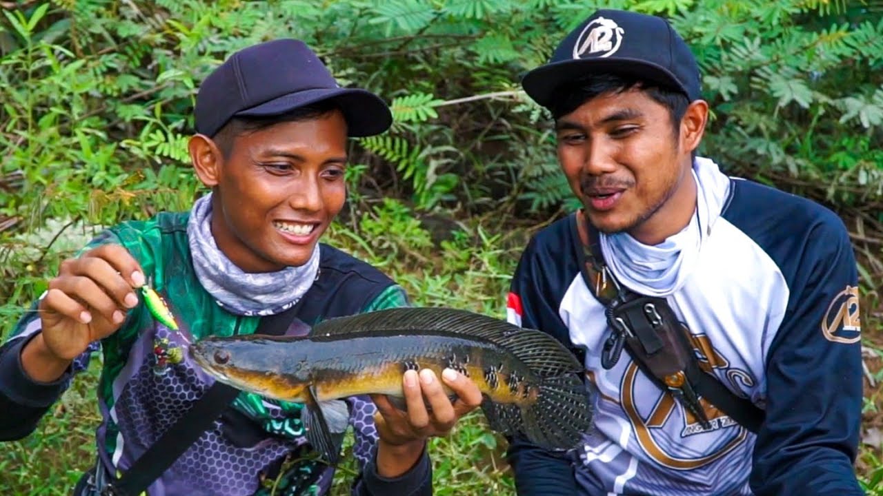 Estadisticas En Youtube Para El Video 2kg Terigu Dapat 20kg Ikan Belanak Noxinfluencer