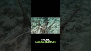 The Plight of the Hawksbill Turtle  Navigating Threats in Tropical Oceans #ai #facts  #science