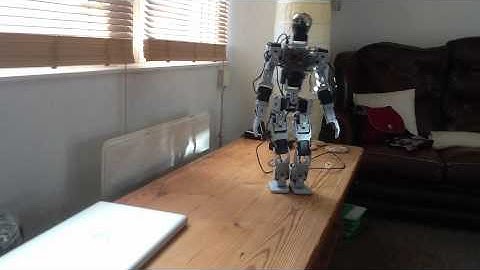 Biped Realtime Torque Walk