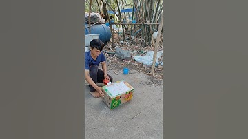 mái tơ lên đường phục vụ ae đam mê🐓 #thứcgàrừng86 #gàrừngrặc #gàrừngtaitrắng