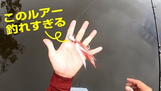 このルアーはピーコックバスを釣りすぎる可能性があります - 夢のアマゾン釣行 #5