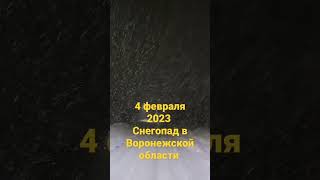 Снегопад в Воронежской области 4 февраля 2023