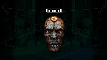 Tool Culling Voices @United Center, Chicago, IL, USA 10.March.2022 HQ-Audio