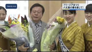 フリージアまつりPR　八丈島の春を感じて！