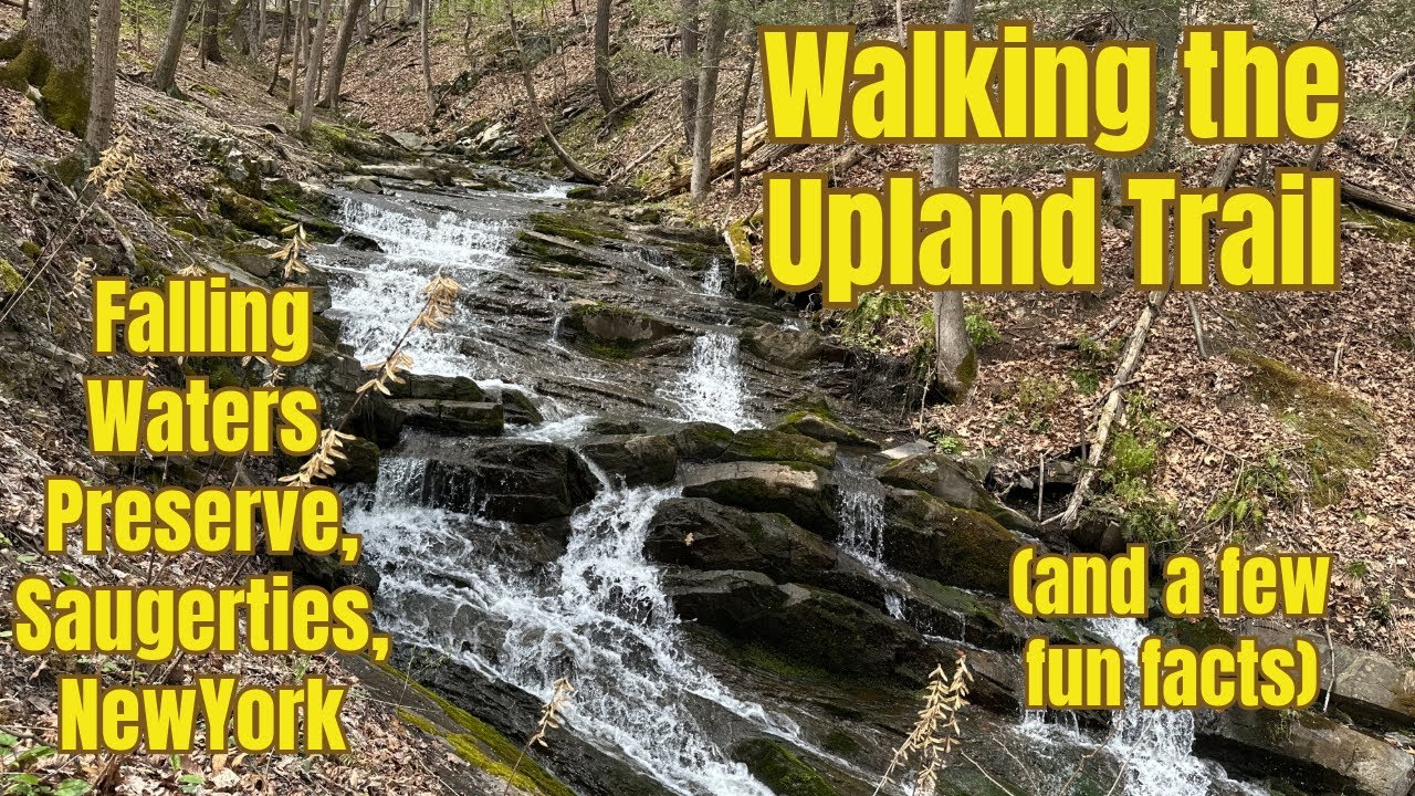 The Upland Trail to the Hudson River: Falling Waters Preserve Calm Walking Tour