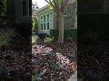 The Power of a Simple Landscape Update