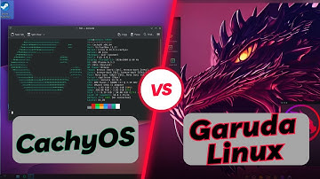 CachyOS vs Garuda Linux (Dr460nized) | RAM Comparison