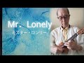 Mr.Lonely(ミスター・ロンリー)ソロウクレレ Low-G
