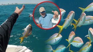 Yellowtail Snapper Catch Clean Cook