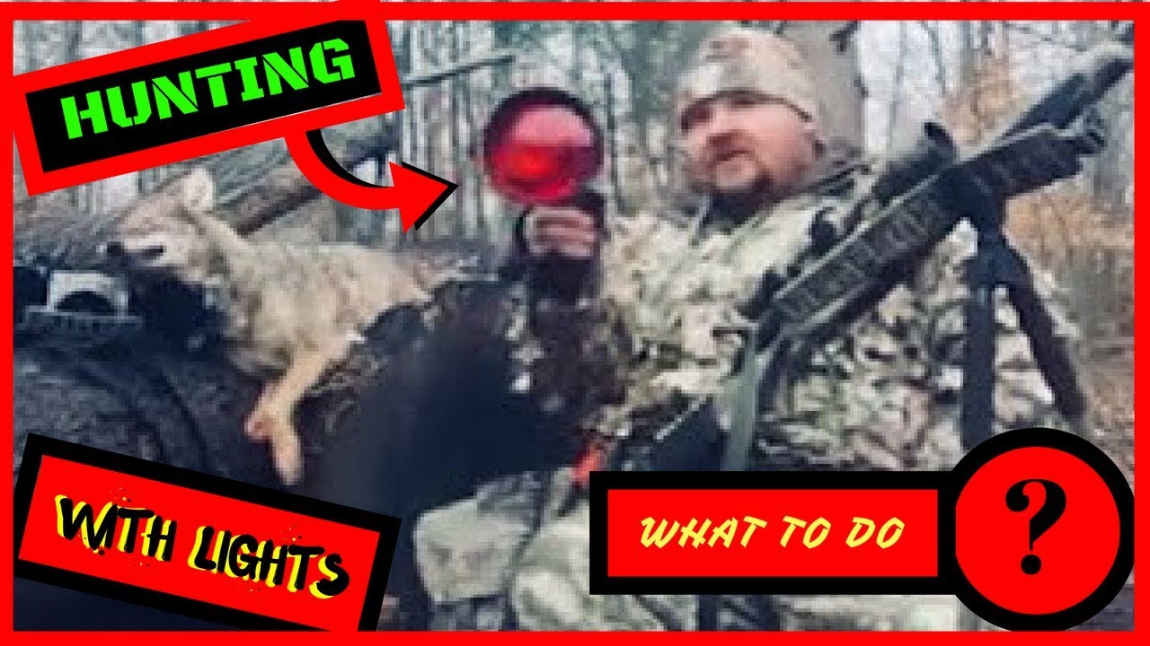 Охота на койотов ночью с фонарём «Советы и тактика» команды Зомби