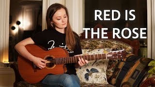 Red Is the Rose (Traditional Celtic Song on Fingerstyle Guitar) - Lindsay Straw