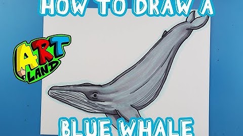 How to Draw a BLUE WHALE