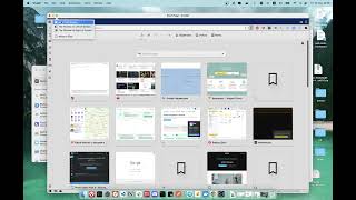 Vivaldi Problem on MacOs in FullScreen Mode