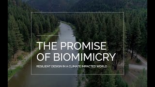 "The Promise of Biomimicry" : Innovation and Design Inspired by Nature screenshot 4