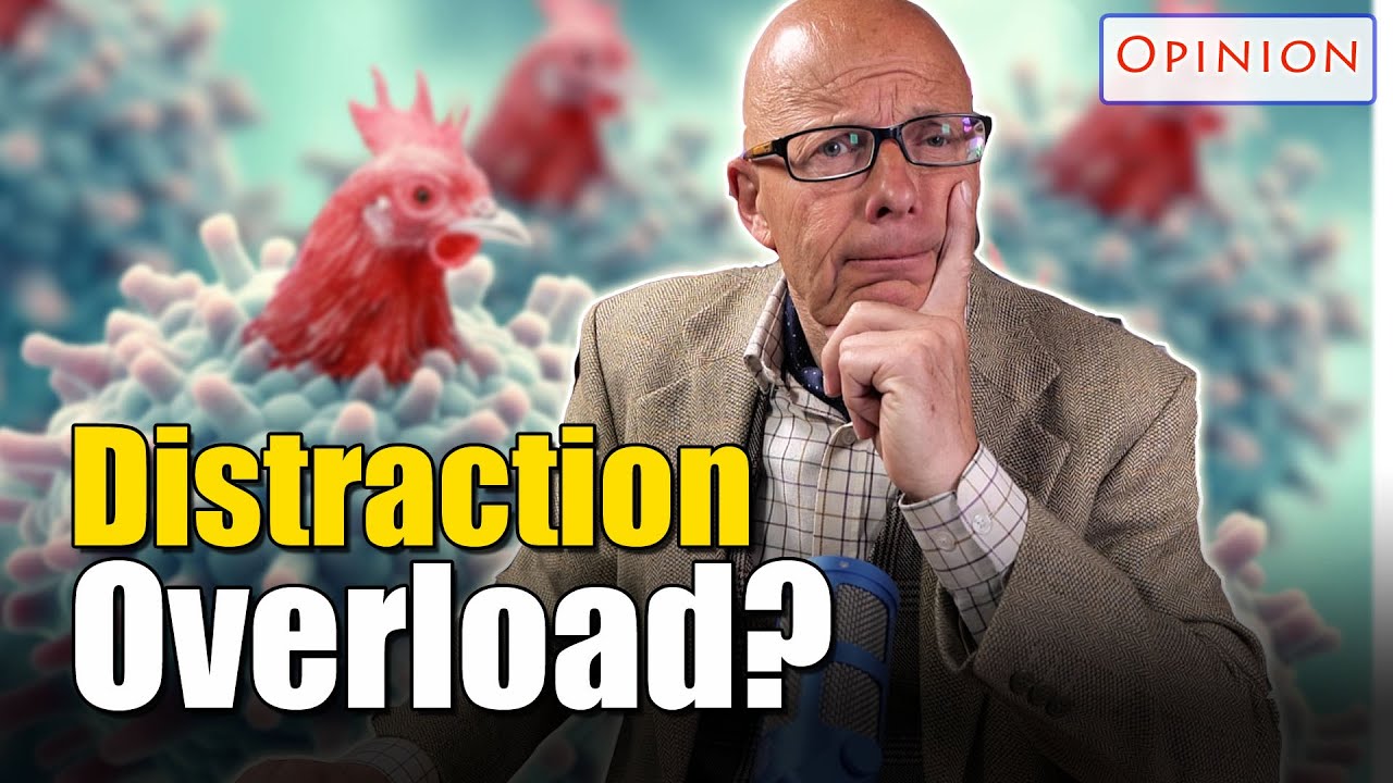 Bird flu, Cat's Eyes and QR codes ...