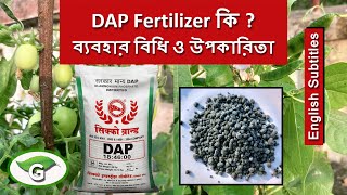 What is DAP Fertilizer? Use & benefits of DAP in Plants ডিএপি সার কি? তার ব্যবহার বিধি ও উপকারিতা screenshot 5
