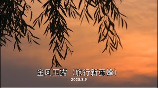 #口琴 旅行新蜜蜂《金風玉露》