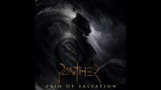 PAIN OF SALVATION - ACCELERATOR