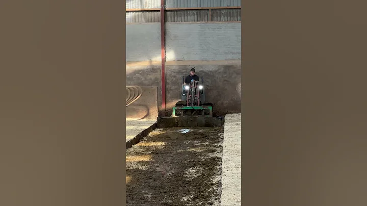 Attractive Girl Clean The Manure, Cowshed Cleaner, Mini Loader #howitworks #amazing #farming #cow