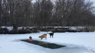 Закаливание моржевание плавание в ледяной воде.Hardening of winter swimmin swimming in the icy water